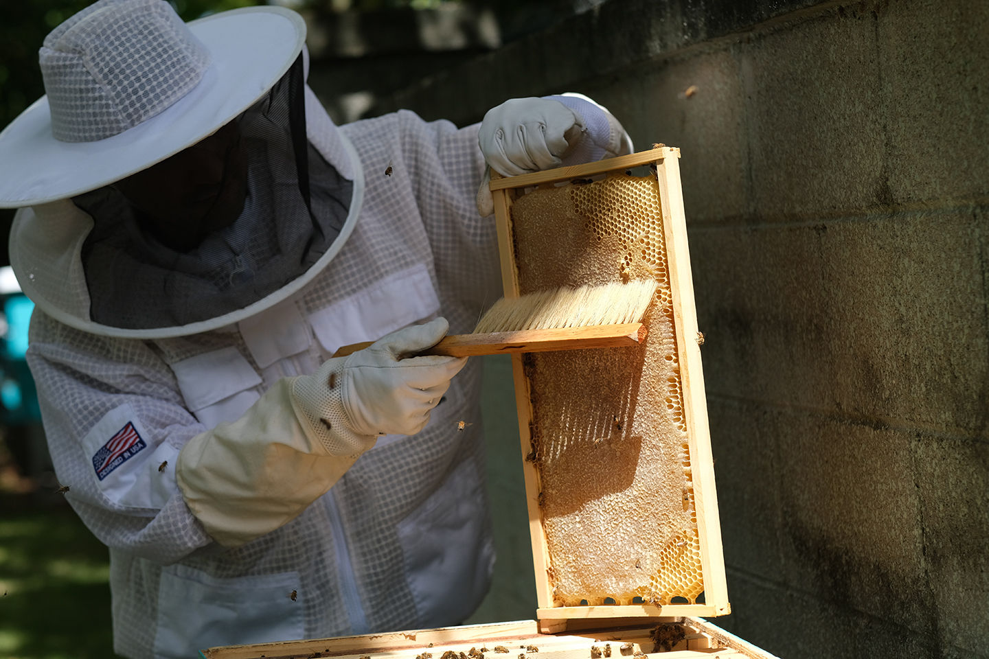Guam’s sweetest secret: locally grown Hafa Adai Honey